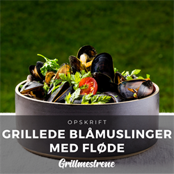 GRILLEDE BLÅMUSLINGER MED FLØDE OG PURLØGSOLIE 