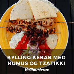 GRILLET KYLLING KEBAB MED HUMUS OG TZATIKKI